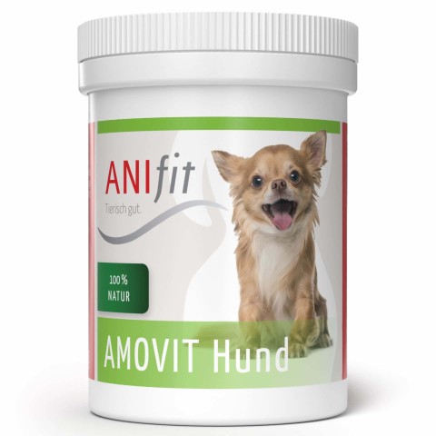 Amovit Hund 100g (1 Stück)